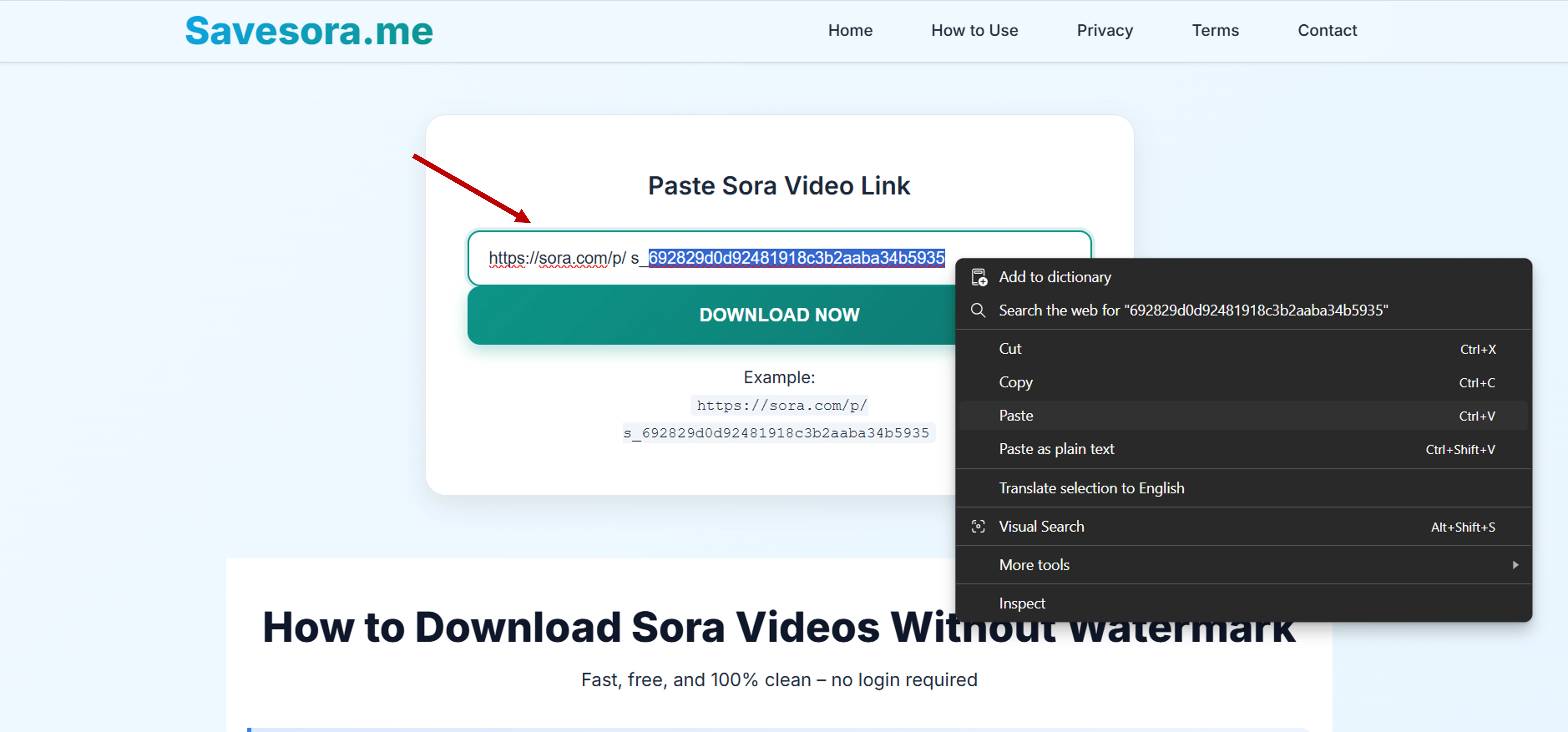 Paste Sora link into downloader